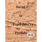 David, La Esperanza Perdida