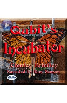 Qubit's Incubator