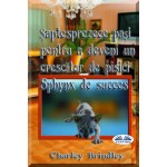 Șaptesprezece Pași Pentru A Deveni Un Crescător De Pisici Sphynx De Succes