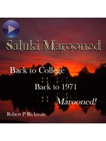 Saluki Marooned
