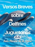 Versos Breves Sobre Delfines Juguetones