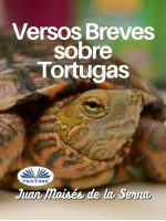Versos Breves Sobre Tortugas