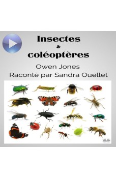 Insectes Et Coléoptères