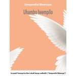 Umqondisi Womoya-Uhambo Lwempio