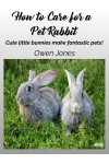 How To Care For A Pet Rabbit-Cute Little Bunnies Make Fantastic Pets!