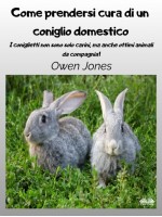 Come Prendersi Cura Di Un Coniglio Domestico-I Coniglietti Non Sono Solo Carini, Ma Anche Ottimi Animali Da Compagnia!