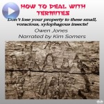 How To Deal With Termites-Don'T Lose Your Property To These Small, Voracious, Xylophagous Insects!