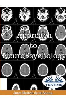 Approach To Neuropsychology